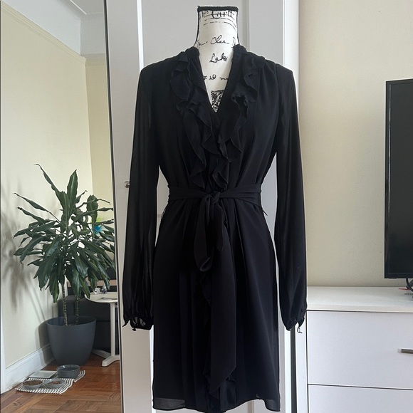 Chic Black Long Sleeve Dress - Picture 1 of 9